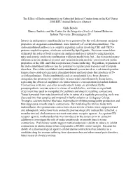 The Effect of Endocannabinoids on Carbachol Induced Contractions in the Rat Uterus 2008 REU Animal Behavior Abstract
