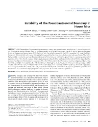 Instability of the Pseudoautosomal Boundary in House Mice
