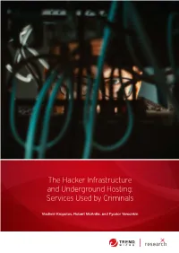 The Hacker Infrastructure and Underground Hosting: Services Used by Criminals