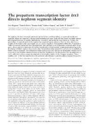 The Prepattern Transcription Factor Irx3 Directs Nephron Segment Identity