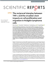 The Reciprocal Interplay Between Tnfα and the Circadian Clock