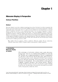 Chapter 1 Ribosome Display