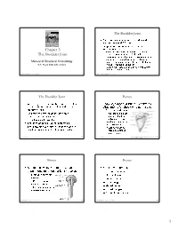 Chapter 5 the Shoulder Joint