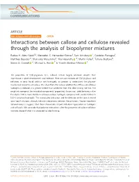 Interactions Between Callose and Cellulose Revealed Through the Analysis of Biopolymer Mixtures