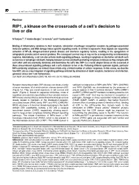RIP1, a Kinase on the Crossroads of a Cell's Decision to Live Or