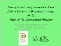 Saving the Diamondback Terrapin