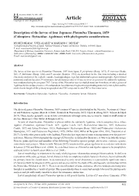 Coleoptera: Dytiscidae: Agabinae) with Phylogenetic Considerations