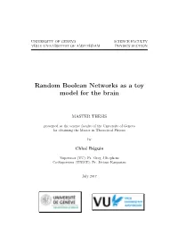 Random Boolean Networks As a Toy Model for the Brain