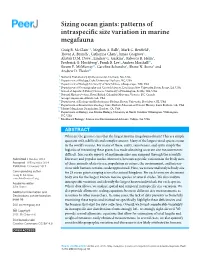 Sizing Ocean Giants: Patterns of Intraspecific Size Variation in Marine Megafauna