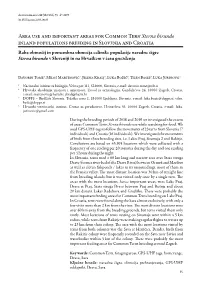 Area Use and Important Areas for Common Tern Sterna Hirundo