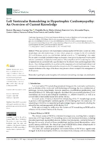 Left Ventricular Remodeling in Hypertrophic Cardiomyopathy: an Overview of Current Knowledge