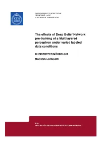 The Effects of Deep Belief Network Pre-Training of a Multilayered Perceptron Under Varied Labeled Data Conditions
