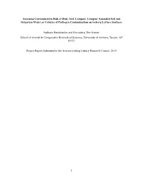 Assessing Contamination Risks Associated with Dust Soil Composted