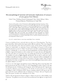Micromorphological Variations and Taxonomic Implications Of