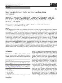 Novel Crosstalk Between Vps26a and Nox4 Signaling During Neurogenesis
