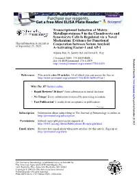 A-Activating Factor-1 and AP-1 Cooperation Between Serum