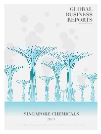 Jurong 2.0 - Human Resources and the Environment - the Service Sector