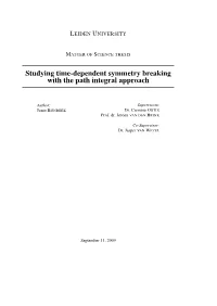 Studying Time-Dependent Symmetry Breaking with the Path Integral Approach