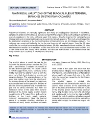 Anatomical Variations of the Brachial Plexus Terminal Branches in Ethiopian Cadavers