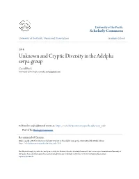 Unknown and Cryptic Diversity in the Adelpha Serpa-Group Cassidi Rush University of the Pacific, Cassidi.E.Rush@Gmail.Com