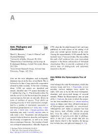 Borowiec Et Al-2020 Ants – Phylogeny and Classification