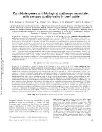 Candidate Genes and Biological Pathways Associated with Carcass Quality Traits in Beef Cattle