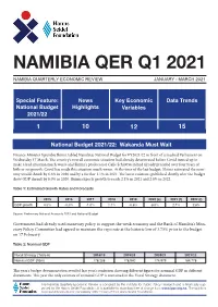 IPPR Namibia QER Q1 2021 Opt