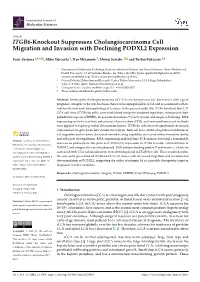 ITGB6-Knockout Suppresses Cholangiocarcinoma Cell Migration and Invasion with Declining PODXL2 Expression