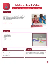 Make a Heart Valve How Does Your Heart Move Blood in One Direction?