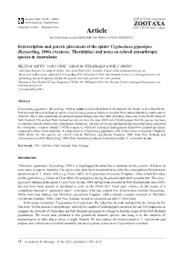 Redescription and Generic Placement of the Spider Cryptachaea