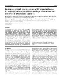 Snake Presynaptic Neurotoxins with Phospholipase A2 Activity Induce Punctate Swellings of Neurites and Exocytosis of Synaptic Vesicles
