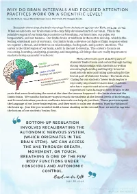 Brain Intervals & Focused Attention Practice Resources