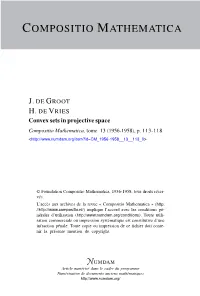 Convex Sets in Projective Space Compositio Mathematica, Tome 13 (1956-1958), P