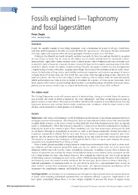 Fossils Explained I—Taphonomy and Fossil Lagerstätten Peter Doyle Editor, Geology Today
