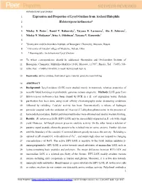 View Preprint