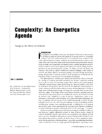 Complexity: an Energetics Agenda