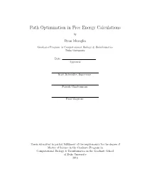 Path Optimization in Free Energy Calculations