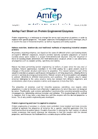 Amfep Fact Sheet on Protein Engineered Enzymes