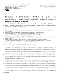And Nanostructures of Biocarbonates: Quantitative Statistical Grain-Area Analysis of Diagenetic Overprint Laura A