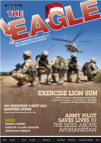 Exercise Lion