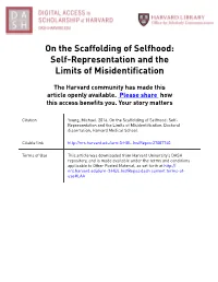 Self-Representation and the Limits of Misidentification