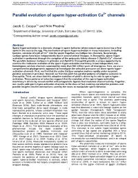 Parallel Evolution of Sperm Hyper-Activation Ca2+ Channels