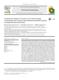 Comparative Analysis of Trichuris Muris Surface Using Conventional, Low Vacuum, Environmental and ﬁeld Emission Scanning Electron Microscopy