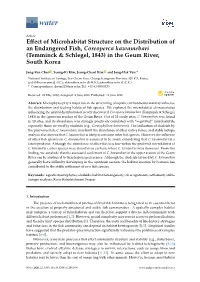 Effect of Microhabitat Structure on the Distribution of an Endangered Fish, Coreoperca Kawamebari (Temminck & Schlegel, 1843
