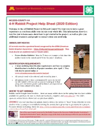 Rabbit New Family Help Sheet