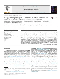 A Core Transcriptional Network Composed of Pax2/8, Gata3 and Lim1 Regulates Key Players of Pro/Mesonephros Morphogenesis