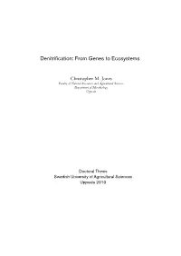 Denitrification: from Genes to Ecosystems
