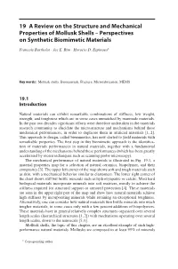 19 a Review on the Structure and Mechanical Properties of Mollusk Shells – Perspectives on Synthetic Biomimetic Materials