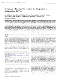 A Caspase-1 Biosensor to Monitor the Progression of Inflammation in Vivo