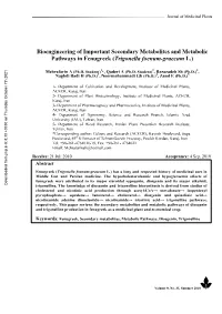 Bioengineering of Important Secondary Metabolites and Metabolic Pathways in Fenugreek (Trigonella Foenum-Graecum L.)